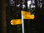 Trail Richtung Gfellen