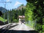 Fruttli entlang der Rigi Bahnschienen