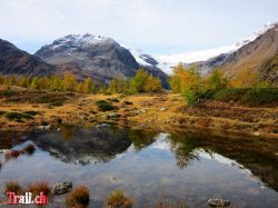 berninapass-alp-grum_08-10-2012_img_6374.jpg