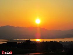 Morgenrot über dem Zürichsee
