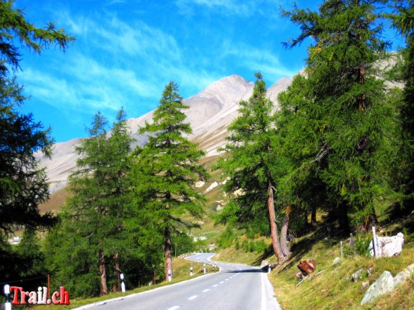 Albulapass
