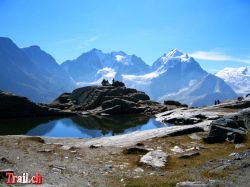 Piz Bernina mit Biancograt ab der Fuorcla Surlej