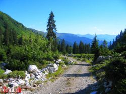 carschinafurgga-prattigauerhohenweg-schweizertor-14_07_2007-img_5796.jpg