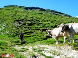 tomuelpass_01-08-2013_img_2792.jpg