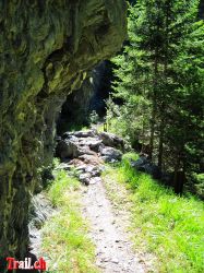 Dateiname=tomulpass_19-07-2010_img_6374.jpg
Dateigröße=230KB
Abmessungen: 750x1000
hinzugefügt am: 22. Juli 2010 tomulpass_19-07-2010_img_6374.jpg
