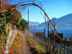 walensee-weesen-walenstadt-quinten_09-02-2011_img_0153.jpg