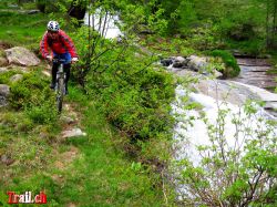 Wildbach bei Bosco Gurin