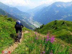 Dateiname=rifugio-foisc_30-07-2020_dsc06696.jpg
Dateigröße=243KB
Abmessungen: 1200x900
hinzugefügt am: 28. Februar 2021 rifugio-foisc_30-07-2020_dsc06696.jpg