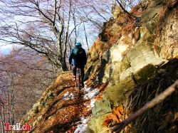 Trail zur Alpe Bolla nahe ab Abgrund