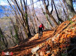 mt-boglia_23_11_2008-img_1671.jpg