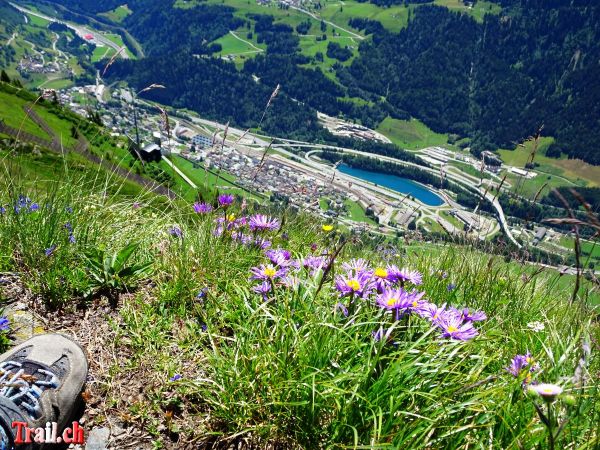 Klicken für Bild in voller Größe