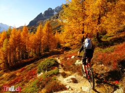Dateiname=piansecco_29-10-2016_dsc07980.jpg
Dateigröße=238KB
Abmessungen: 1000x750
hinzugefügt am: 24. Juli 2017 piansecco_29-10-2016_dsc07980.jpg