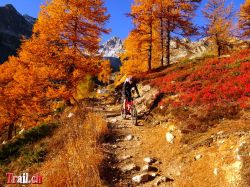 Dateiname=piansecco_29-10-2016_dsc08007.jpg
Dateigröße=283KB
Abmessungen: 1000x750
hinzugefügt am: 14. November 2016 piansecco_29-10-2016_dsc08007.jpg