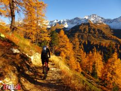 Dateiname=piansecco_29-10-2016_dsc08009.jpg
Dateigröße=228KB
Abmessungen: 1000x750
hinzugefügt am: 16. November 2016 piansecco_29-10-2016_dsc08009.jpg