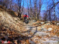 ponte-tibetano-carasc_18-02-2017_dsc09518.jpg