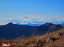 monte-bar_08-12-2011_img_1549.jpg