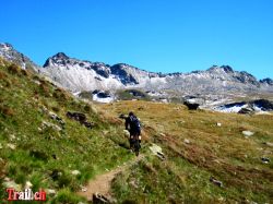 Alp Forno am Albrunpass