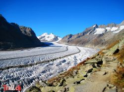 Dateiname=aletschgletscher_14-10-2010_img_9127.jpg
Dateigröße=156KB
Abmessungen: 1000x750
hinzugefügt am: 29. April 2011 aletschgletscher_14-10-2010_img_9127.jpg