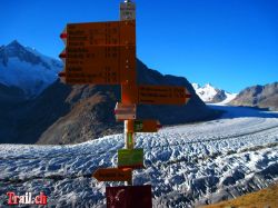 Roti Chumma am Aletschgletscher Wegweiser