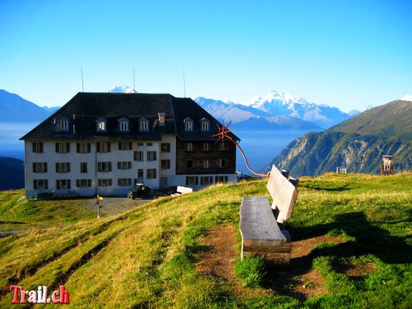 Klicken für Bild in voller Größe