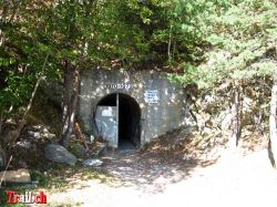 Dateiname=bls-lotschberg-sudrampe_img_2895_22-09-2009.jpg
Dateigröße=204KB
Abmessungen: 1000x750
hinzugefügt am: 23. April 2010 bls-lotschberg-sudrampe_img_2895_22-09-2009.jpg