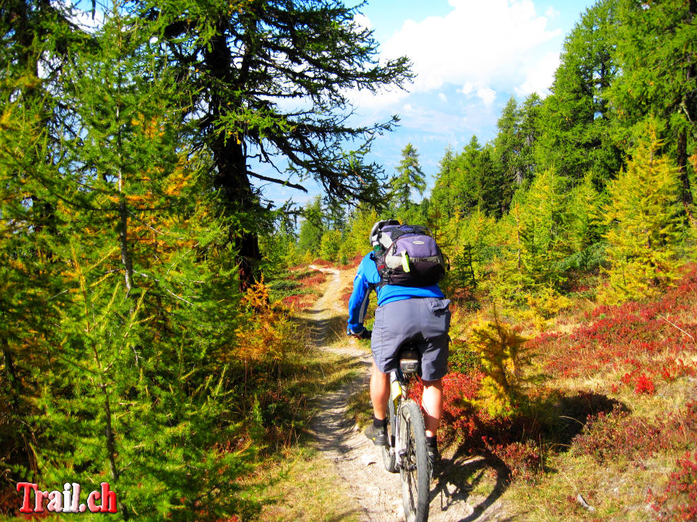 Col de Cou - The Brazilian Trail