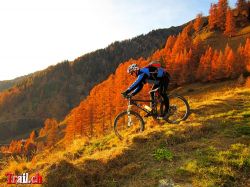 Indian Summer Reckingen Goms Wallis