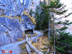 Dateiname=kandersteg-gemmipass-leukerbad-31_10_2005-img_0731.jpg
Dateigröße=260KB
Abmessungen: 1000x750
hinzugefügt am: 30. März 2008 kandersteg-gemmipass-leukerbad-31_10_2005-img_0731.jpg