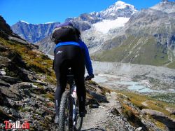 Dente Blanche mit Schönbielgletscher ab der Stafelalp