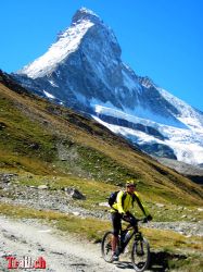 Matterhorn zw. Schwarzsee und Stafelalp