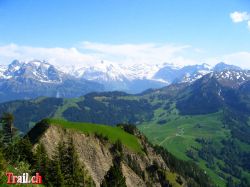 acherli-stanserhorn-25_05_2009-img_2841.jpg