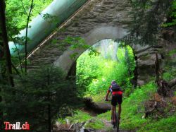 breitlaui_24-06-2012_img_3825.jpg