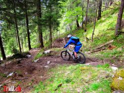 Mountainbike Downhill Chilcherbergen Silenen