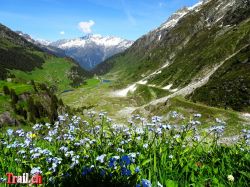 Dateiname=goescheneralp_10-06-2016_dsc05377.jpg
Dateigröße=189KB
Abmessungen: 1000x750
hinzugefügt am: 14. Juni 2016 goescheneralp_10-06-2016_dsc05377.jpg