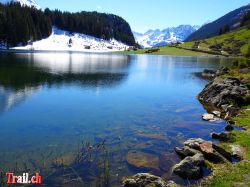 Dateiname=golzerensee_05-05-2017_dsc00511.jpg
Dateigröße=125KB
Abmessungen: 1000x750
hinzugefügt am: 24. Mai 2017 golzerensee_05-05-2017_dsc00511.jpg