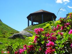 gotthardpass-passo-scimfuss_14-06-2022_dsc01138.jpg