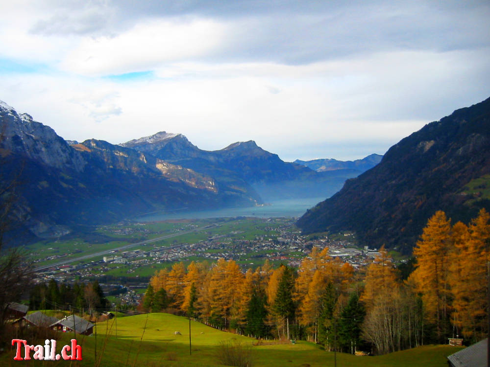 Tour Haldi Schattdorfer Bergen Mountainbike