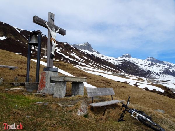 Klicken für Bild in voller Größe