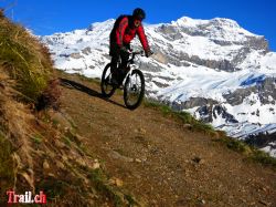 heidmanegg-klausenpass_08-05-2014_img_7326.jpg