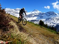 klausenpass-heidmanegg_30-04-2026_dsc04905.jpg