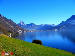 rigi-scheidegg-kaltbad-vitznau13_01_2007-img_4298.jpg