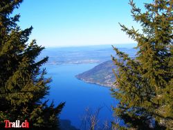 Dateiname=rigi-scheidegg-kaltbad-vitznau13_01_2007-img_4303.jpg
Dateigröße=142KB
Abmessungen: 1000x750
hinzugefügt am: 14. Januar 2007 rigi-scheidegg-kaltbad-vitznau13_01_2007-img_4303.jpg