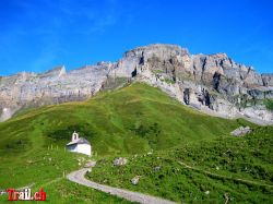 surenenpass_img_2381_23-08-2009.jpg