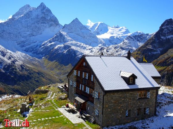 Klicken für Bild in voller Größe