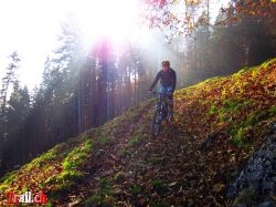 Dateiname=wildspitz_01-11-2011_img_0254.jpg
Dateigröße=164KB
Abmessungen: 1000x750
hinzugefügt am: 02. November 2011 wildspitz_01-11-2011_img_0254.jpg