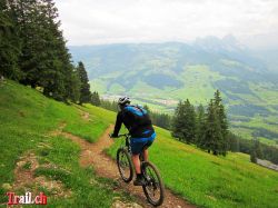 wildspitz_05-07-2012_img_3995.jpg