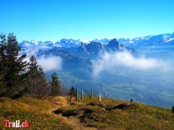 wildspitz_05-11-2010_img_9476.jpg