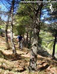 MTB_Paradise_copy.jpg