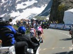 Thumbs/tn_134-3442_IMG.jpg