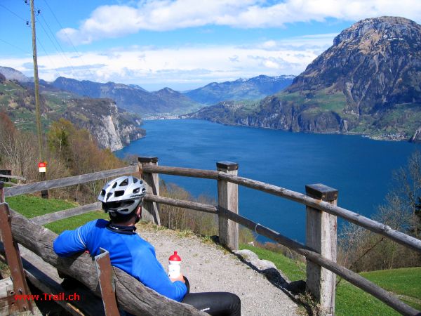 Blick vom Bärchi über den Vierwaldstättersee / Urnersee